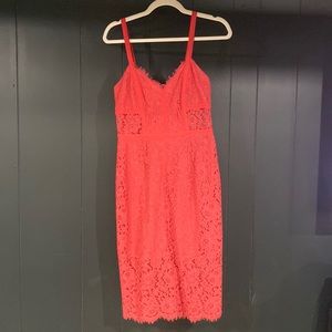 Express lace see through knee length dress